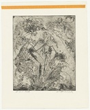 Artist: BOYD, Arthur | Title: Joined figure with ferns. | Date: (1962-63) | Technique: etching and aquatint, printed in black ink, from one plate | Copyright: Reproduced with permission of Bundanon Trust