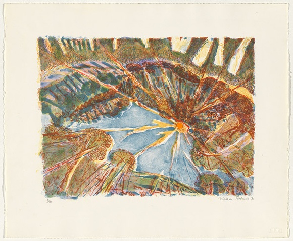 Artist: b'Robinson, William.' | Title: b'Sunshine print' | Date: 1990-92 | Technique: b'lithograph, printed in colour, from multiple plates'