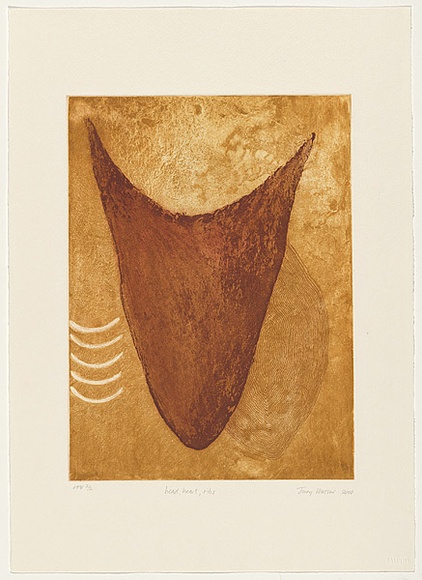 Artist: b'Watson, Judy.' | Title: b'head, heart, ribs' | Date: 2000, August | Technique: b'etching and aquatint, printed in colour, from two plates' | Copyright: b'\xc2\xa9 Judy Watson. Licensed by VISCOPY, Australia'