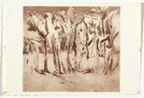 Artist: b'Lunn, Wendy.' | Title: b'not titled (Bush with insects)' | Date: (1980s) | Technique: b'aquatint and etching, printed in brown ink, from one plate'