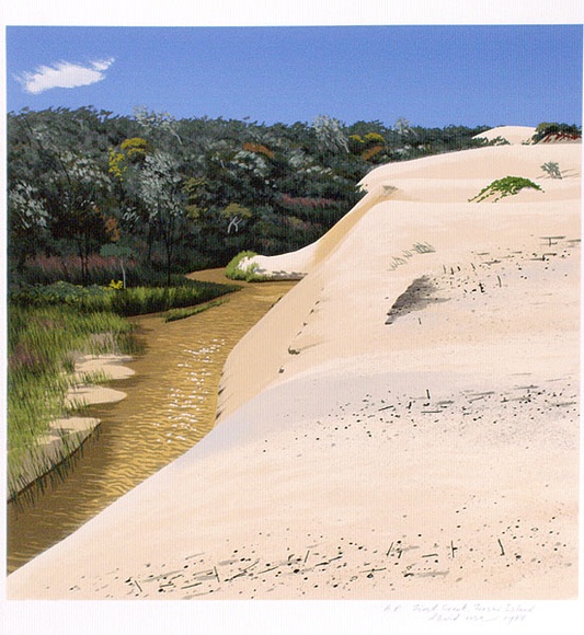 Artist: b'Rose, David.' | Title: b'First Creek Fraser Island' | Date: 1988 | Technique: b'screenprint, printed in colour, from multiple stencils'