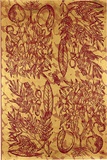 Artist: b'REDBACK GRAPHIX' | Title: b'Wrapping paper: Gold' | Date: 1986 | Technique: b'screenprint, printed in colour, from three stencils'