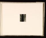 Artist: b'Mann, Gillian.' | Title: b'(Abstract).' | Date: 1981 | Technique: b'etching, printed in black ink, from one plate'