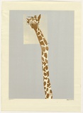 Artist: b'Whiteley, Brett.' | Title: b'Giraffe' | Date: 1965 | Technique: b'screenprint, printed in colour, from four stencils' | Copyright: b'This work appears on the screen courtesy of the estate of Brett Whiteley'