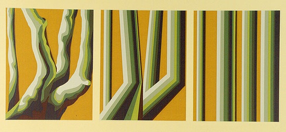 Artist: b'Cole-Adams, Brigid.' | Title: b'not titled.' | Date: 1973 | Technique: b'screenprint, printed in colour, from eight stencils'