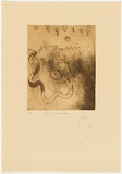 Artist: b'Olsen, John.' | Title: b'Forever the snake' | Date: 1978 | Technique: b'etching and aquatint, printed in green/brown ink with plate-tone, from one plate' | Copyright: b'\xc2\xa9 John Olsen. Licensed by VISCOPY, Australia'