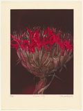 Artist: b'GRIFFITH, Pamela' | Title: b'Gymea lily' | Date: 1983 | Technique: b'hardground-etching, aquatint and burnishing, printed in colour, from two zinc plates' | Copyright: b'\xc2\xa9 Pamela Griffith'