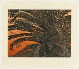 Title: Pandanus - Gunga | Date: 2010 | Technique: etching, printed in colour, from six plates