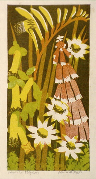 Artist: b'Higgs, Florence.' | Title: b'Australian wildflowers' | Date: c.1954 | Technique: b'linocut, printed in colour, from four blocks'