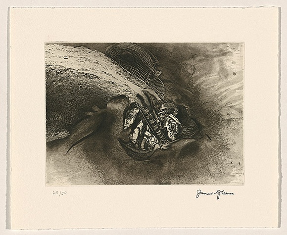 Title: Surge | Date: 2008 | Technique: etching and aquatint, printed in black ink, from one plate