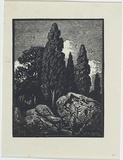 Artist: b'LINDSAY, Lionel' | Title: b'(Cypresses and rocks) [recto]' | Date: c.1922 | Technique: b'wood-engraving, printed in black ink, from one block' | Copyright: b'Courtesy of the National Library of Australia'