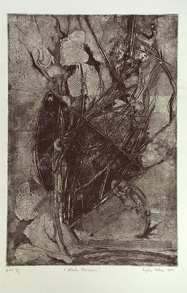 Artist: b'Waters, Lydia.' | Title: b'Black narcissus' | Date: 1991 | Technique: b'etching, printed in black ink, from one plate'