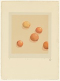 Artist: b'Storrier, Tim.' | Title: b'The afternoon.' | Date: 1978 | Technique: b'screenprint, printed in colour, from nine stencils'