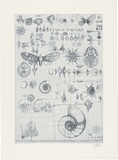 Title: Sketches on two plates | Date: 1967 | Technique: line-etching, printed in blue-black ink, from two plates