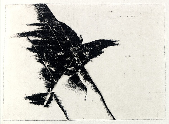 Artist: b'Roberts, Neil.' | Title: b'Eruptions 3' | Date: 1991 | Technique: b'pigment-transfer, printed in brown ink, from one bitumen paper plate'