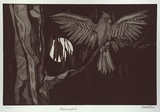 Artist: b'Ross, Brett A.' | Title: b'Moonacullah (Galah)' | Date: 1999, July - August | Technique: b'etching and aquatint, printed in black ink, from one plate'