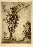 Artist: LINDSAY, Lionel | Title: Pastoral | Date: 1924 | Technique: drypoint, printed in brown ink with plate-tone, from one plate | Copyright: Courtesy of the National Library of Australia