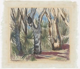 Artist: b'PRESTON, Margaret' | Title: b'Northern Territory gums, etc.' | Date: 1946 | Technique: b'monotype, printed in colour, from one masonite sheet' | Copyright: b'\xc2\xa9 Margaret Preston. Licensed by VISCOPY, Australia'