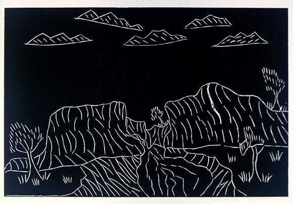 Artist: b'HOLMES, Mavis' | Title: b'not titled [No.11]' | Date: 1990 | Technique: b'woodcut, printed in black ink, from one block'