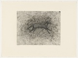Artist: Daw, Robyn. | Title: Tiger over Jetsonville | Date: 1989, November | Technique: etching, printed in black ink, from one plate