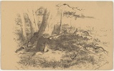 Artist: b'GILL, S.T.' | Title: b'Stalking kangaroos.' | Date: 1855-56 | Technique: b'lithograph, printed in black ink, from one stone'