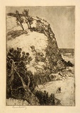 Artist: b'LINDSAY, Lionel' | Title: b'Austinmer' | Date: c.1919 | Technique: b'etching and aquatint, printed in brown ink with plate-tone, from one plate' | Copyright: b'Courtesy of the National Library of Australia'