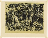 Artist: b'Crooke, Ray.' | Title: b'Sherbrooke Forest.' | Date: 1959 | Technique: b'screenprint, printed in colour, from two stencils'