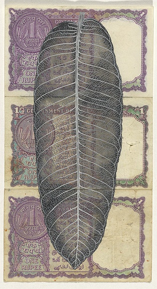 Artist: b'HALL, Fiona' | Title: b'Terminalia arjuna - White murdah (Indian currency)' | Date: 2000 - 2002 | Technique: b'gouache' | Copyright: b'\xc2\xa9 Fiona Hall'