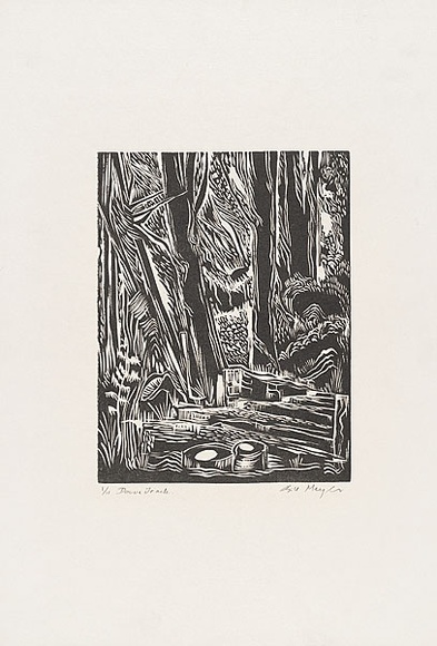 Artist: b'MEYER, Bill' | Title: b'Donna track' | Date: 1968 | Technique: b'linocut, printed in black ink, from reduction block process' | Copyright: b'\xc2\xa9 Bill Meyer'