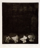 Artist: b'SHEARER, Mitzi' | Title: b'Variation on a theme (II)' | Date: 1978 | Technique: b'etching, printed in brown/black ink, from one  plate'