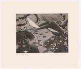 Artist: Trikojus, Jane. | Title: not titled [2 women and cockatoos] | Date: 1985 | Technique: etching and aquatint, printed in black ink, from one plate | Copyright: © Jane Trikojus