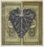 Artist: b'HALL, Fiona' | Title: b'Echallium elaterium - Squirting cucumber (Greek currency)' | Date: 2000 - 2002 | Technique: b'gouache' | Copyright: b'\xc2\xa9 Fiona Hall'
