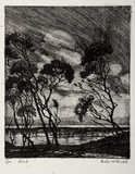 Artist: b'McDonald, Sheila.' | Title: b'Wind' | Date: 1930s | Technique: b'etching, aquatint printed in green ink with plate-tone'