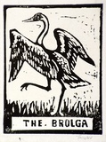 Artist: Taylor, John H. | Title: The brolga | Technique: linocut, printed in black ink, from one block