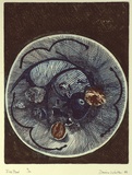 Artist: Waite, Dianne. | Title: Fish bowl | Date: 1988 | Technique: etching, printed in deep blue ink, from one plate; with orange tint.