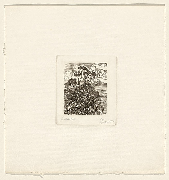 Title: b'Western Point' | Date: 1974 | Technique: b'etching, printed in black ink, from one plate'