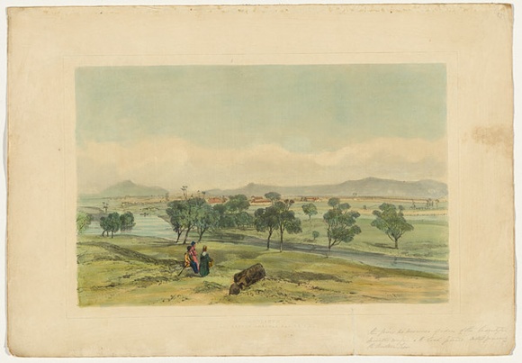 Artist: b'PROUT, John Skinner' | Title: b'Longford and Part of Norfolk Plains VDL' | Date: 1844 | Technique: b'lithograph, printed in black ink, from one stone; hand-coloured'