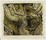 Artist: b'Thorpe, Lesbia.' | Title: b'Roots of time' | Date: 1960 | Technique: b'woodcut, printed in colour, from four blocks'