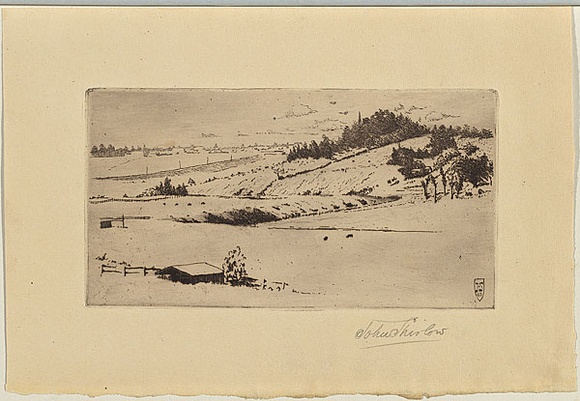 Artist: SHIRLOW, John | Title: Pasture Lands | Date: 1903 | Technique: etching, printed in warm black ink with plate-tone, from one copper plate