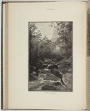 Title: Valley of the Grose | Date: 1886 | Technique: woodengravings, printed in black ink, from one block