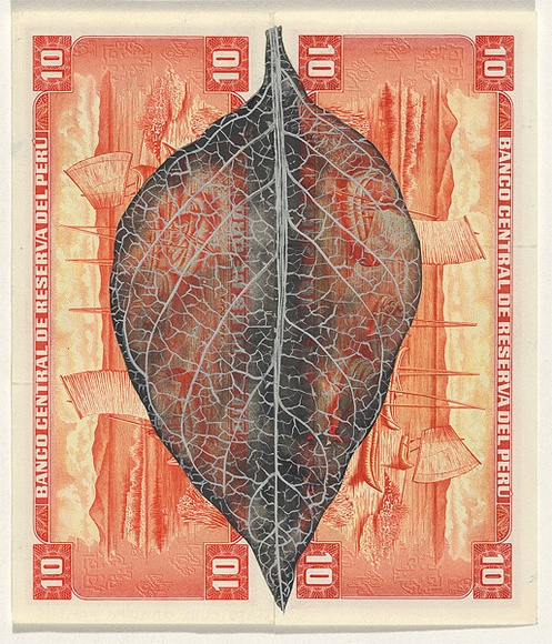 Artist: HALL, Fiona | Title: Capsicum annuum - Chilli (Peruvian currency) | Date: 2000 - 2002 | Technique: gouache | Copyright: © Fiona Hall