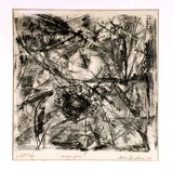 Artist: b'Buckley, Sue.' | Title: b'Dragon flies.' | Date: 1962 | Technique: b'lithograph, printed in black ink, from one stone [or plate]' | Copyright: b'This work appears on screen courtesy of Sue Buckley and her sister Jean Hanrahan'