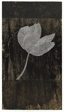 Artist: b'Fox, Belinda.' | Title: b'Hide and seek II variation' | Date: 2006 | Technique: b'etching and linocut, printed in black ink, from one plate and block; embossing and  hand-colouring'