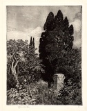 Artist: LINDSAY, Lionel | Title: The deserted shrine. | Date: 1907 | Technique: etching and aquatint, printed in warm black ink, from one copper plate | Copyright: Courtesy of the National Library of Australia