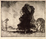 Artist: b'LONG, Sydney' | Title: b'Between the showers' | Date: (1916) | Technique: b'line-etching and drypoint, printed in warm black ink with plate-tone, from one zinc plate' | Copyright: b'Reproduced with the kind permission of the Ophthalmic Research Institute of Australia'