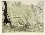 Artist: b'SHEARER, Mitzi' | Title: b'The cat is looking on' | Date: 1979 | Technique: b'etching, printed in black and green ink, from one  plate'