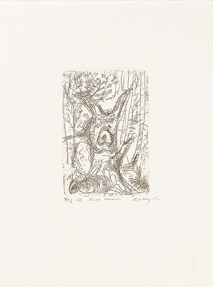 Artist: b'MEYER, Bill' | Title: b'Forest survivor' | Date: 1992 | Technique: b'etching, printed in brown-black charbonnel ink, from one plate' | Copyright: b'\xc2\xa9 Bill Meyer'