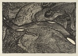 Artist: b'STREET, Mervyn' | Title: b'Minaroro (Margaret River)' | Date: 1995, November | Technique: b'lithograph, printed in black ink, from one stone, with cream tint stone'