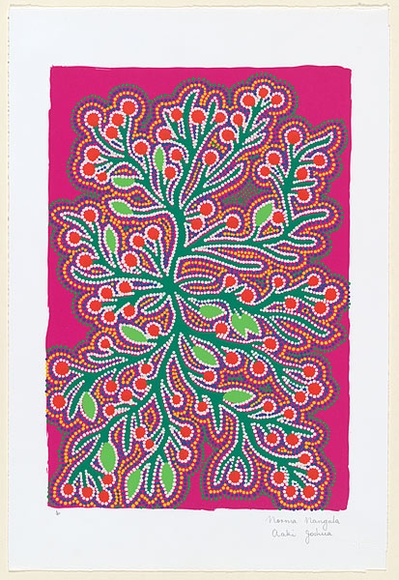 Artist: b'Nangala Joshua, Norma.' | Title: b'Bush orange' | Date: c.2001 | Technique: b'screenprint, printed in colour, from seven stencils'