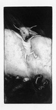 Artist: b'Lohse, Kate.' | Title: b'Integrity and the pits 1' | Date: 1984 | Technique: b'etching'
